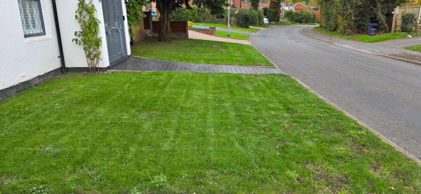Customers lawn after being mowed
